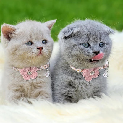 Cat Collars Breakaway Cat Collar - Image 5