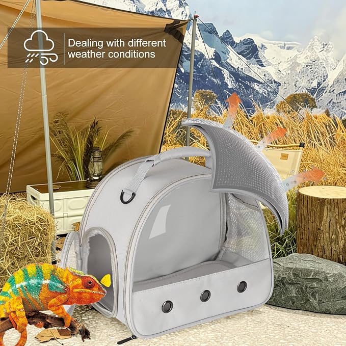 Bearded Dragon Carrier, Lizards Carrier, Small Animal Travel Carrier - Image 3