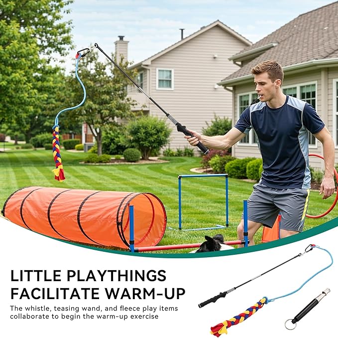 DWVO Dog Agility Accessories Kit: Comprises of a Teaser Pole, 2 Hurdles - Image 2
