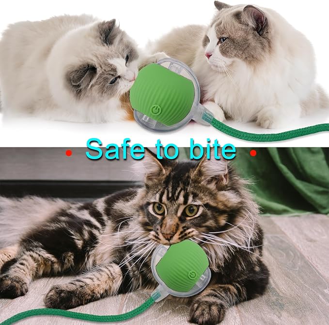 Interactive Cat Dog Toy Ball: Indoor Small Automatic Moving Smart Rolling Fun - Image 6