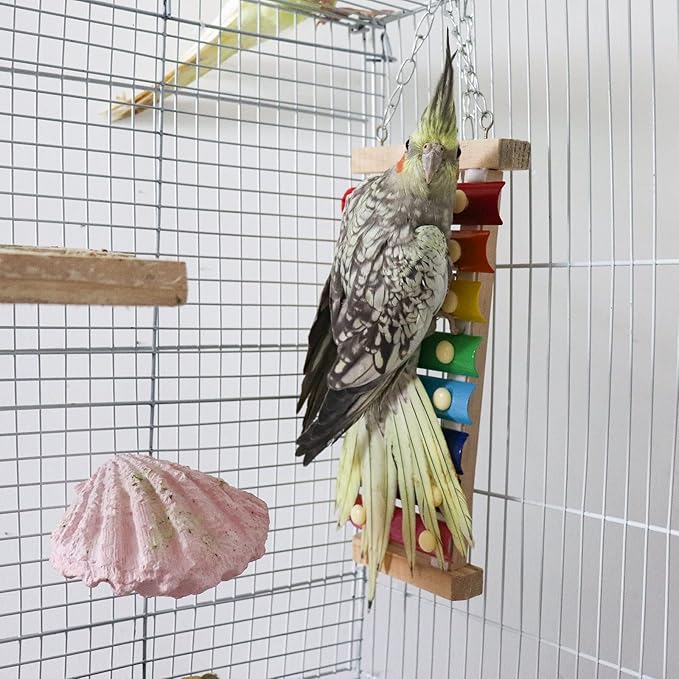 Dnoifne Colorful Bird Xylophone Toy, Suspensible Funny Xylophone Toy - Image 2