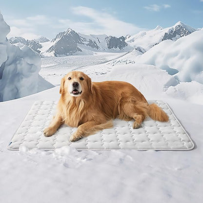 Bedsure Cooling Mat for Large Dogs – 48x30 Thin Washable Cooling Pet Pad for by BEDSURE