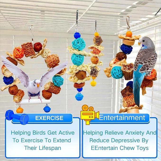 Parakeet Swing Toys, Bird Cage Hanging Chewing Toys, Natural Bird Parrot Toys - Image 4
