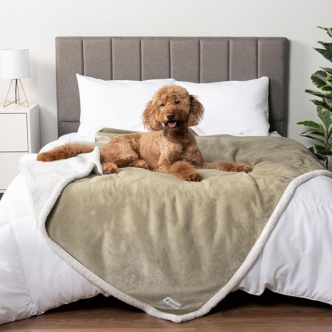 PetAmi Waterproof Dog Blanket for Medium Large Dog Puppy Cat Throw for Couch - Image 7
