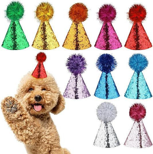 10 Pack Mini Small Dog Hats Cat Birthday Party Hat by Unknown