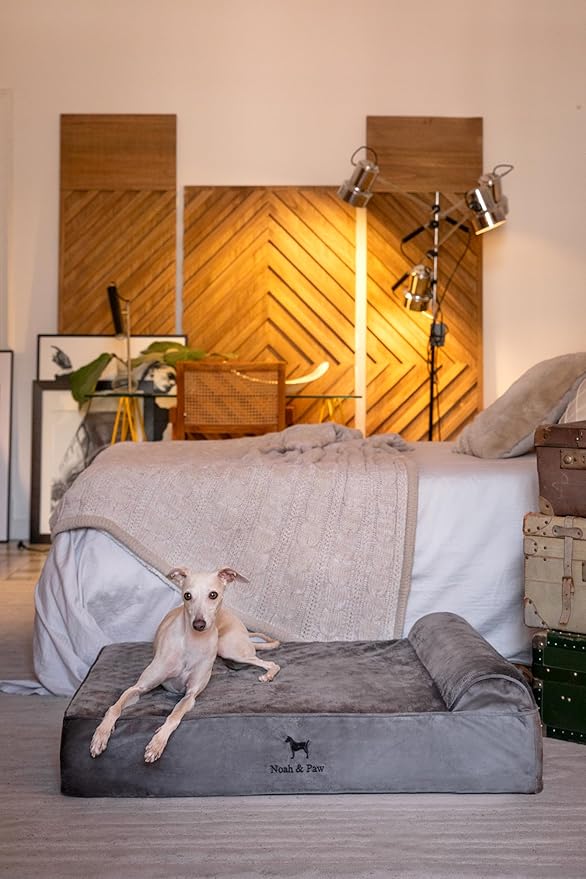 NOAH & PAW Large Dog Bed, Orthopedic Dog Beds, Eggshell Memory Foam Infused - Image 2