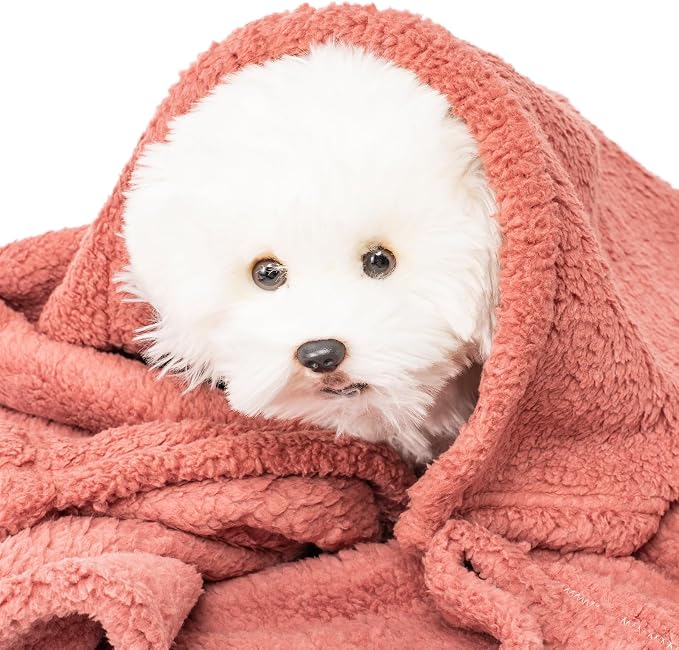 3 Blankets, Dog Cat Pet Blanket, Soft Warm Fleece, - Image 9