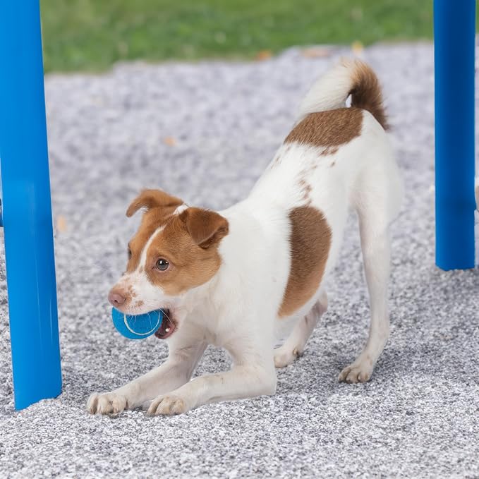 Best Pet Supplies Interactive Squeaky Dog Chew Toy, Ideal Dog Toys - Image 8