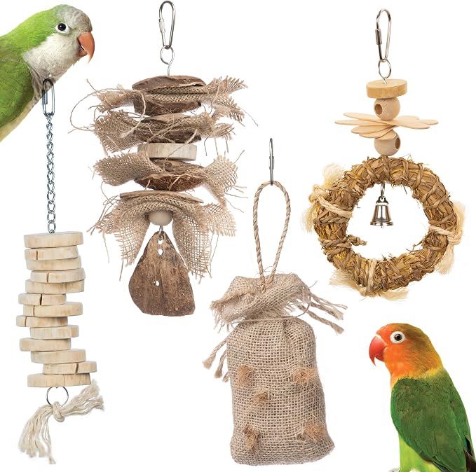 Prevue Pet Products Wholesome Naturals 4 Piece Bird Toy Bundle by Prevue+Pet+Products