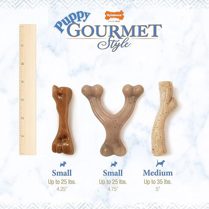 Nylabone Gourmet Style Femur & Wishbone Strong Chew Toy - Image 8