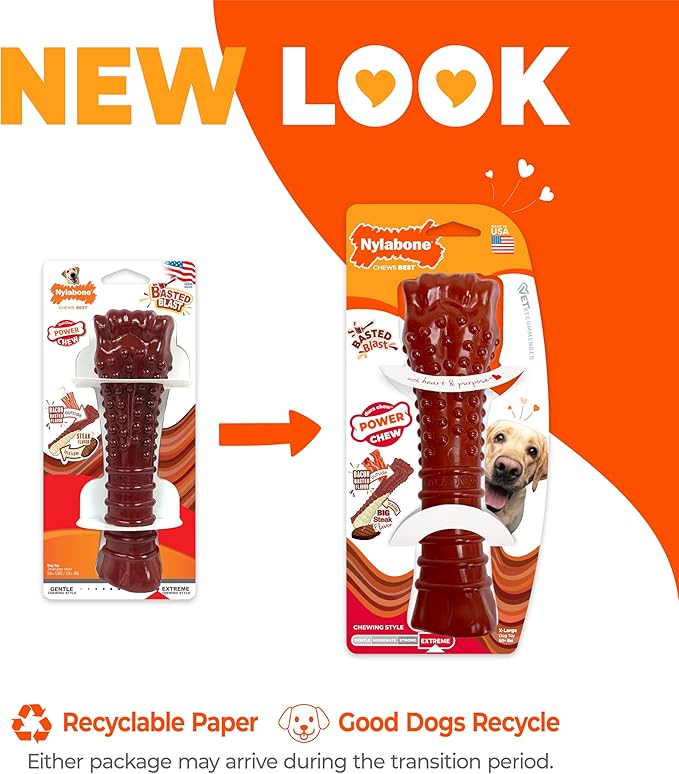 Nylabone Textured Bone Power Chew Toy - Image 3