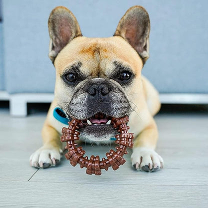 Nylabone Textured Ring Power Chew Toy - Image 6