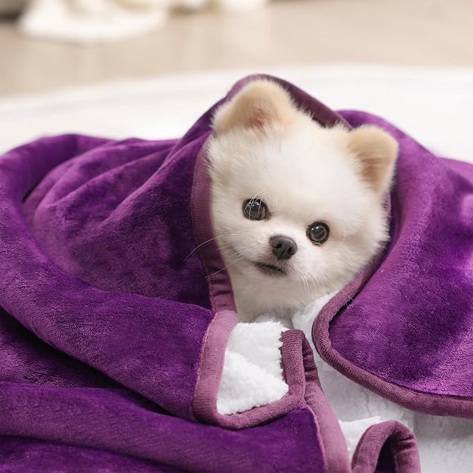 gogobunny Waterproof Pet Blanket - Image 5