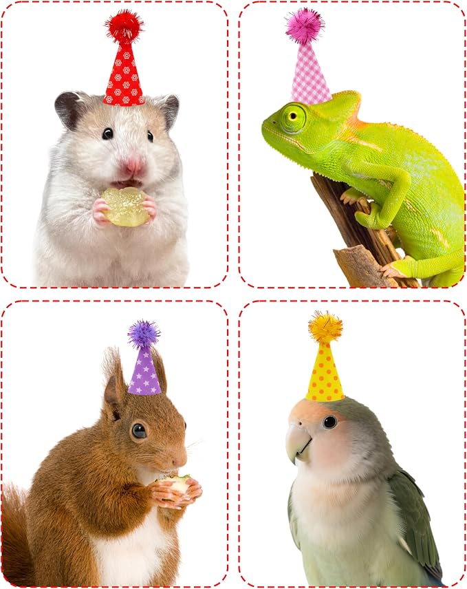 PET SHOW 10 Pack Hamster Hats Tiny Hats - Image 4