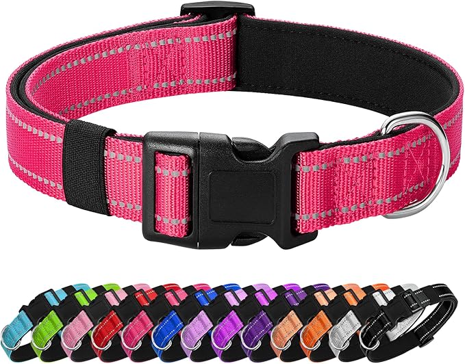 Reflective Dog Collar Padded by Penseepet