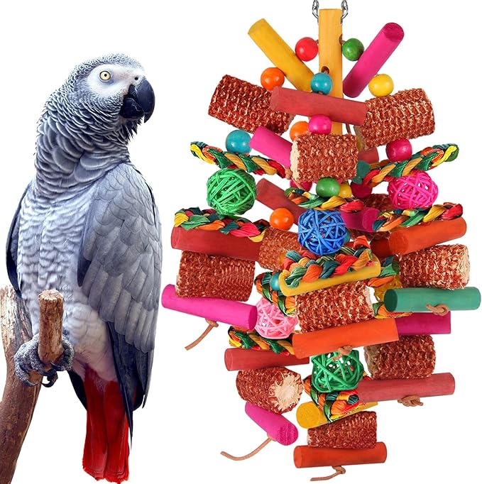 Kyouki Parrots Toys for Cockatiels, Parrotlets, Meyer's & Other Small/Medium by Unknown