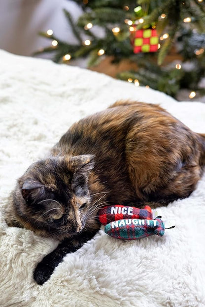 Pearhead Naughty Or Nice Christmas Cat Toy Set, Holiday Pet Owner Gift - Image 4
