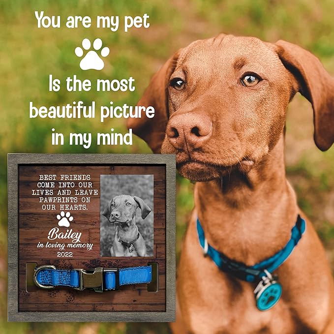 Personalized Dog Collar Frame Memorial Pet Loss Sign Dog & Cat Lover Ever Gifts - Image 6