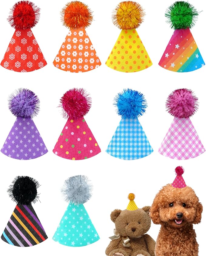 PET SHOW 10 Pack Mini Party Hats by PETSHOW