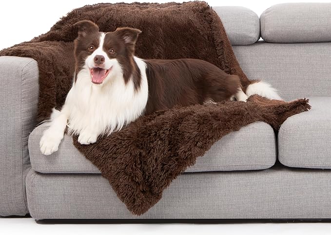 gogobunny Waterproof Dog Blanket by gogobunny