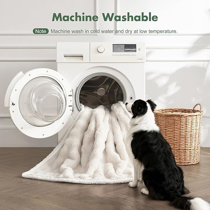 Soft Cozy Waterproof Twin Blanket - Image 6