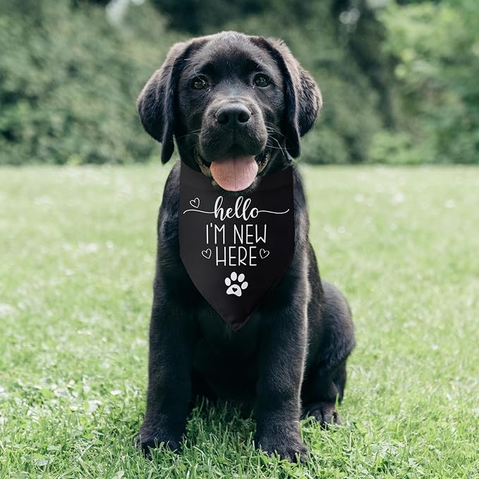 Hello I'm New Here Dog Bandana New Puppy Announcement Gift - Image 6