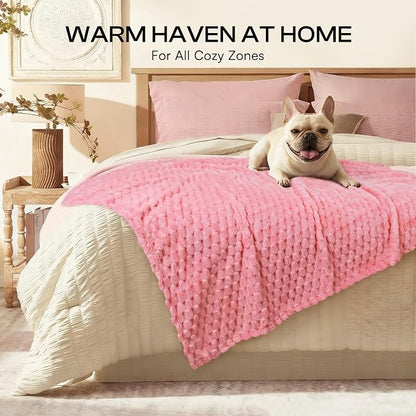 Luciphia Soft 300GSM Fleece Pet Blanket - Image 4