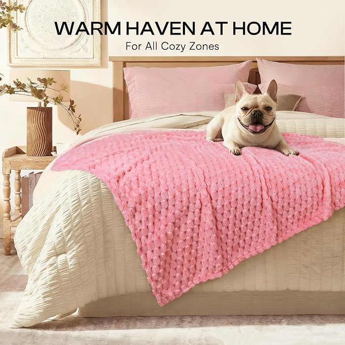 Luciphia Soft 300GSM Fleece Pet Blanket - Image 4