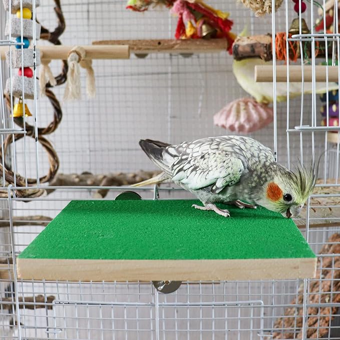 Dnoifne 7.9×5.9 Inches Large Bird Perch Stand Platform, Natural Wooden Bird - Image 4