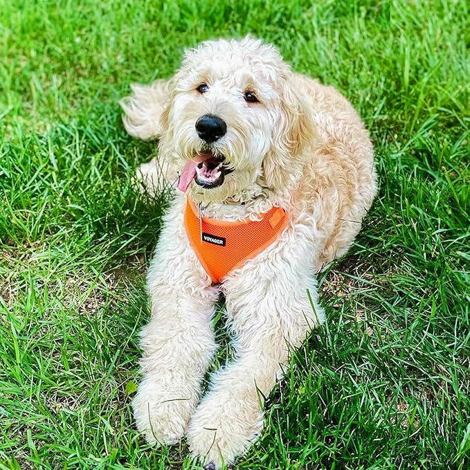Voyager Step-in Pet Harness - Image 8