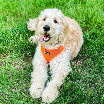 Voyager Step-in Pet Harness - Image 8