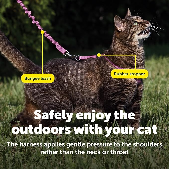 PetSafe Come With Me Kitty Cat Harness & Bungee Leash - Image 5