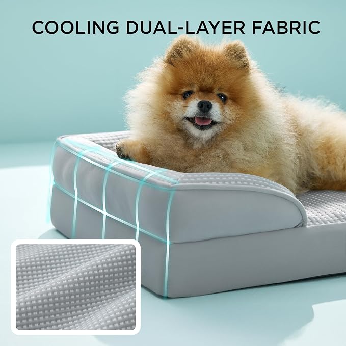 Bedsure Orthopedic Dog Beds for Small Dogs - Image 2