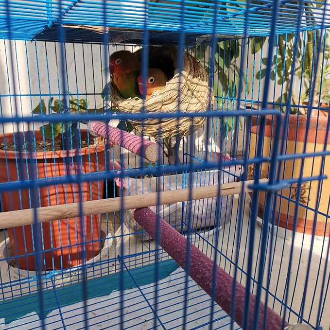 Hamiledyi Parrot Perch Stand Toy, Bird Cage Perch Toy, Natural Paw Grinding - Image 2