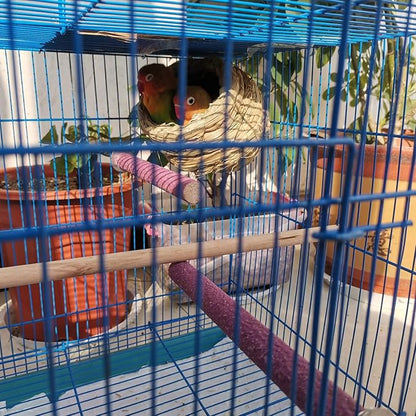 Hamiledyi Parrot Perch Stand Toy, Bird Cage Perch Toy, Natural Paw Grinding - Image 2