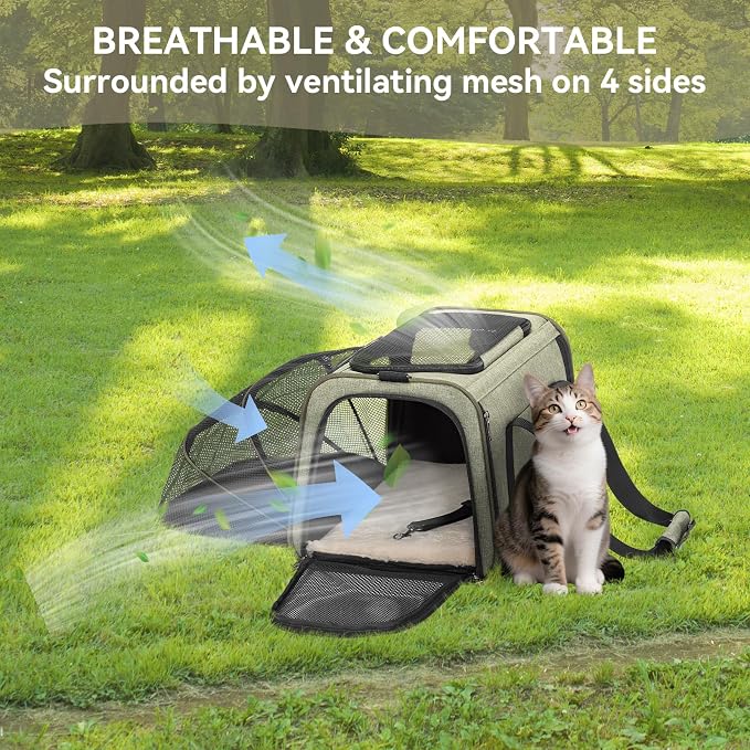 Petsfit Expandable Rabbit Carrier Small Cat Carrier Airline Approved - Image 9