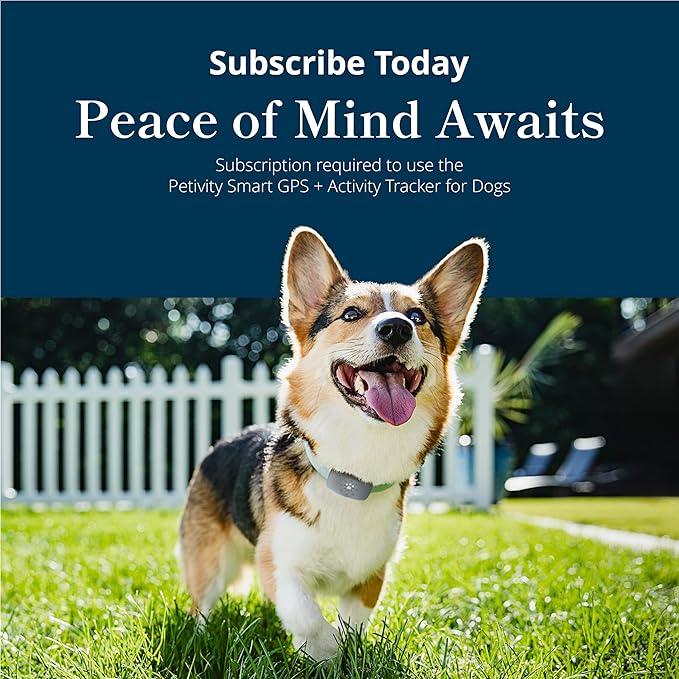 Petivity Smart GPS and Activity Pet Tracker - Image 10