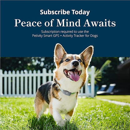 Petivity Smart GPS and Activity Pet Tracker - Image 10