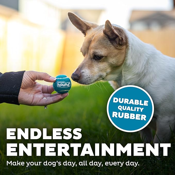 Outward Hound Squeaker Ballz – Squeaky Tiny Tennis Balls - Image 4