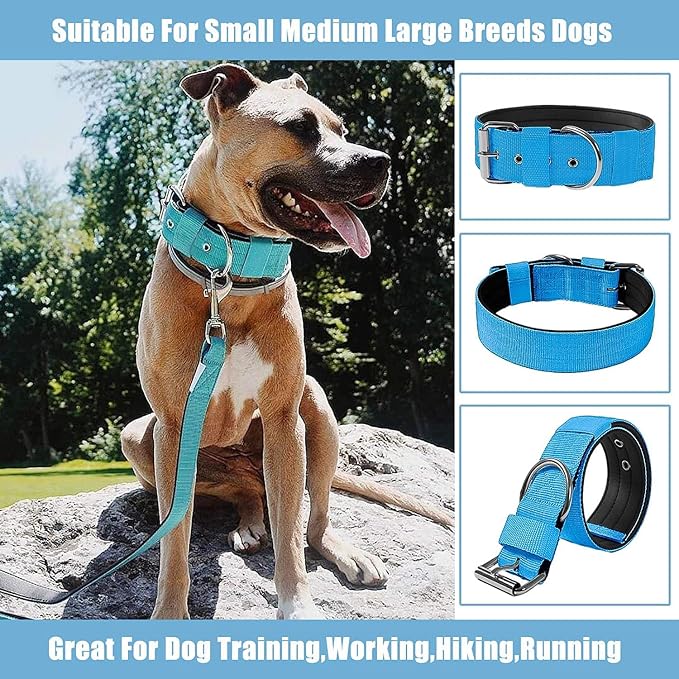 Heavy Duty Tactical Dog Collar - Image 8