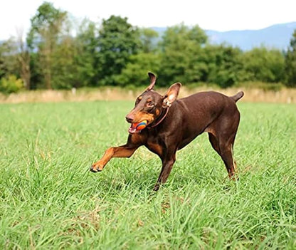 Chuckit! Ultra Ball Dog Toy - Image 8