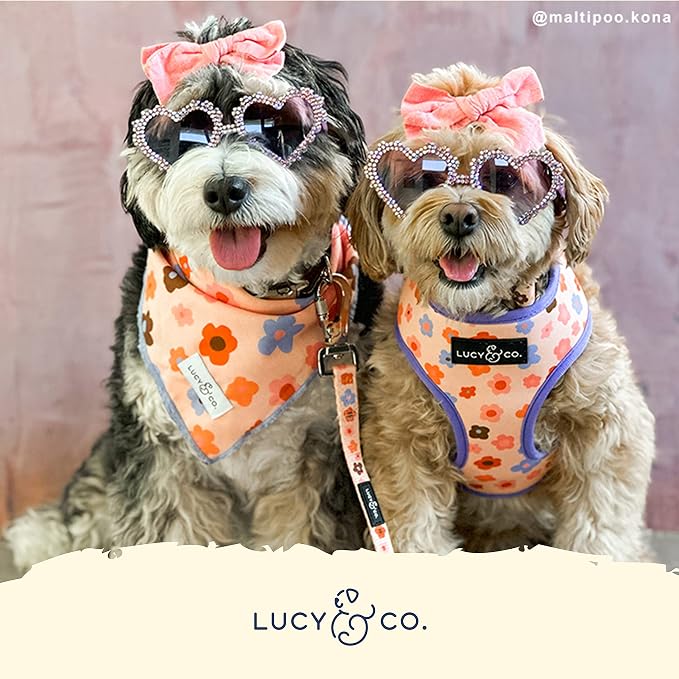 Lucy & Co. Purple with Coral Floral Wave, Cute Reversible Dog Harness Walking - Image 5