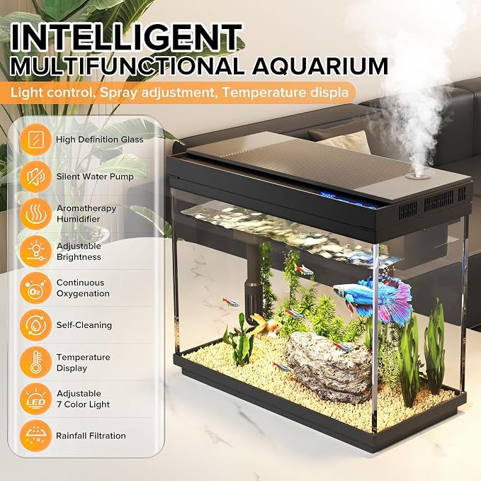 Fish Tank, 2.4 Gallon Fish Aquarium, Fish Tank Starter kit - Image 2