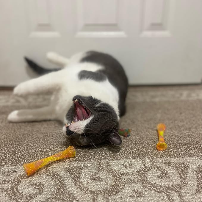 SPOT Kitty Fun Tubes Cat Toy | Bouncy Cat Toy - Image 8