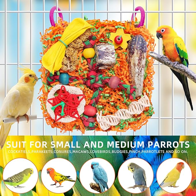 Bird Toys for Small & Medium Parrots - Image 4