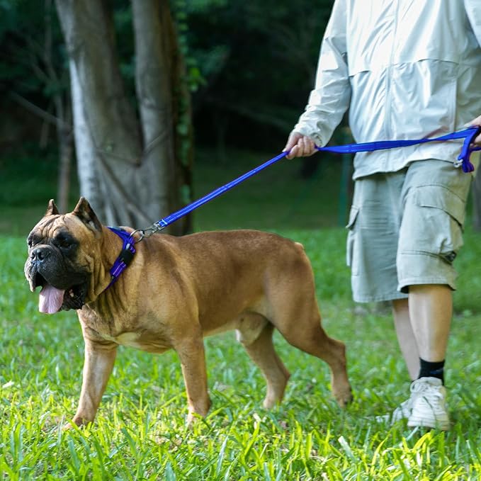 EXCELLENT ELITE SPANKER Reflective Dog Collar Classic Soft Padded Breathable - Image 5