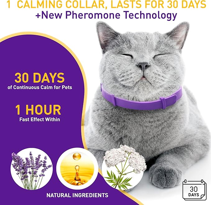 4 Pack Calming Collar for Cats – Pheromone Cat Calming Collar Cat Anxiety - Image 4