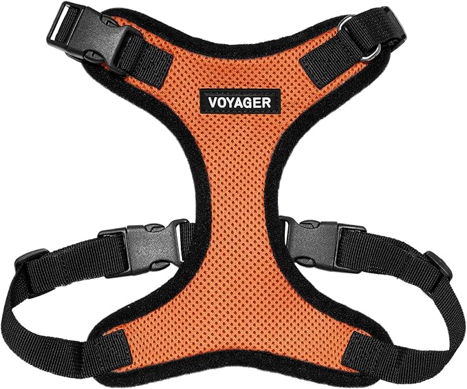 Voyager Step-in Pet Harness by BestPetSuppliesLLC