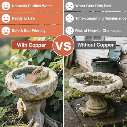 Bird Bath Copper Disc- Reinforced 99.99% Pure Copper Bird Bath Purification - Image 3