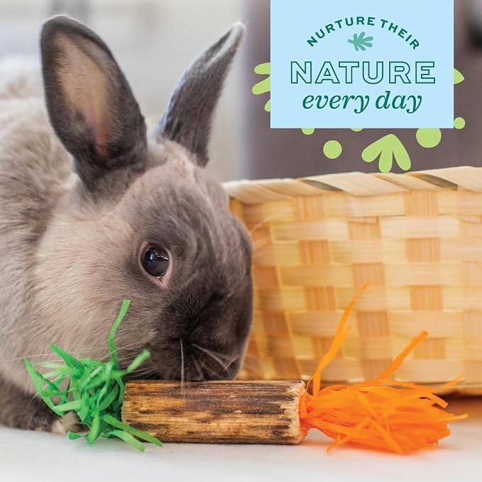 Oxbow Enriched Life Birthday Party Pack, Rabbit & Guinea Pig Toys, Enrichment - Image 6